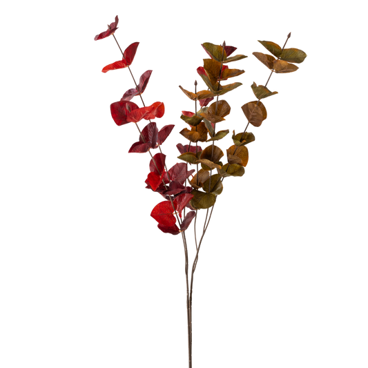 FS103 Silver Dollar Eucalyptus 33.5" PK 36