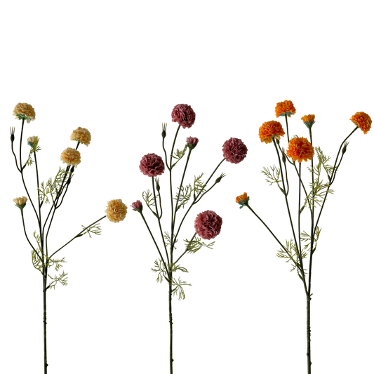 FS125 Chrysanthemum 32" PK 12