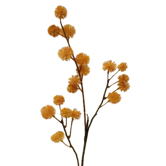 Seed Stem