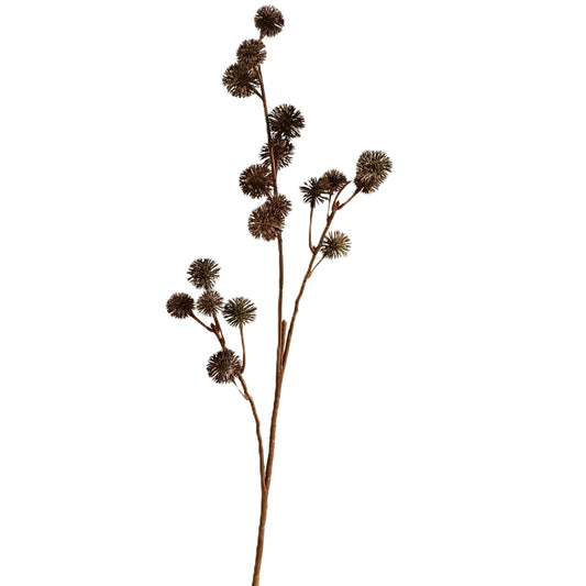 Seed Stem