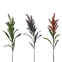 FS128 Pampas Grass 30" PK 12