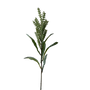 FS128 Pampas Grass 30" PK 12