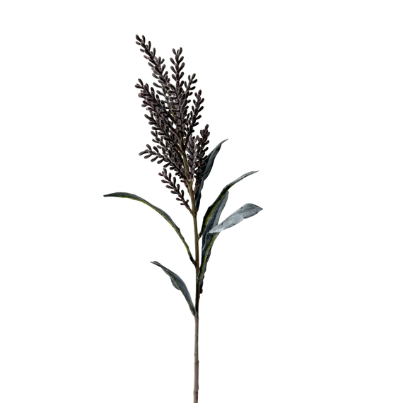 FS128 Pampas Grass 30" PK 12