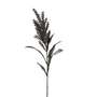 FS128 Pampas Grass 30" PK 12
