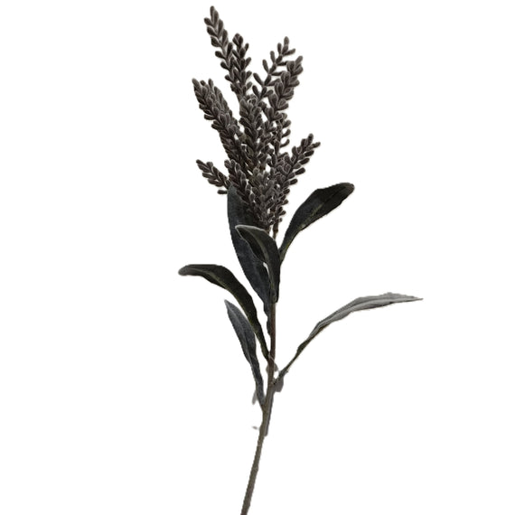 Pampasgrass