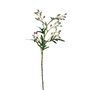 FS129 Eucalyptus Fruit 27" PK 12