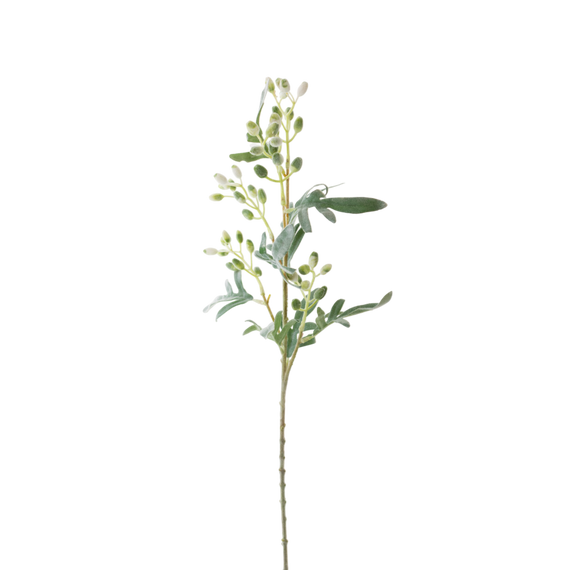 FS129 Eucalyptus Fruit 27" PK 12