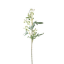 FS129 Eucalyptus Fruit 27" PK 12