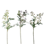 FS129 Eucalyptus Fruit 27" PK 12