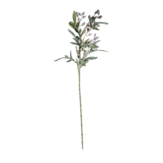 FS129 Eucalyptus Fruit 27" PK 12