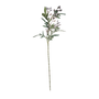 FS129 Eucalyptus Fruit 27" PK 12