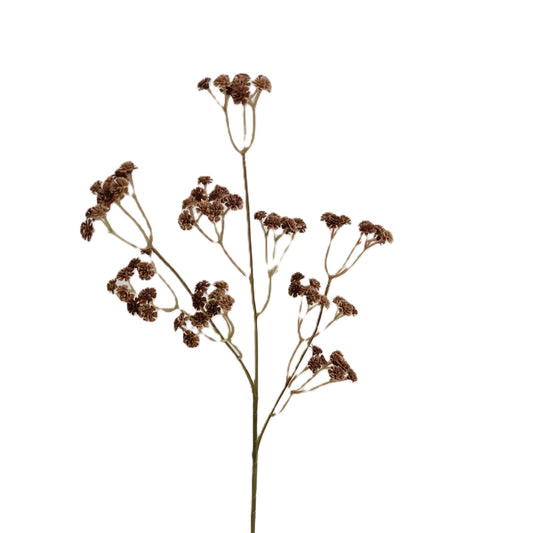 Babysbreath