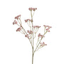 Babysbreath