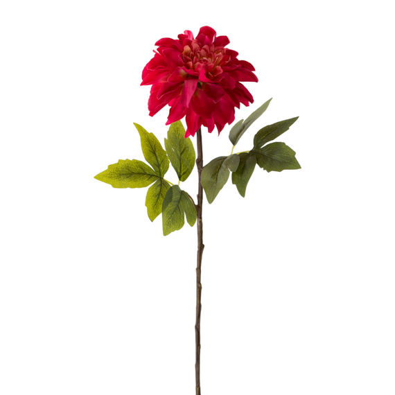 FS132 Peony 25" PK 12