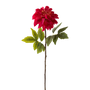 FS132 Peony 25" PK 12
