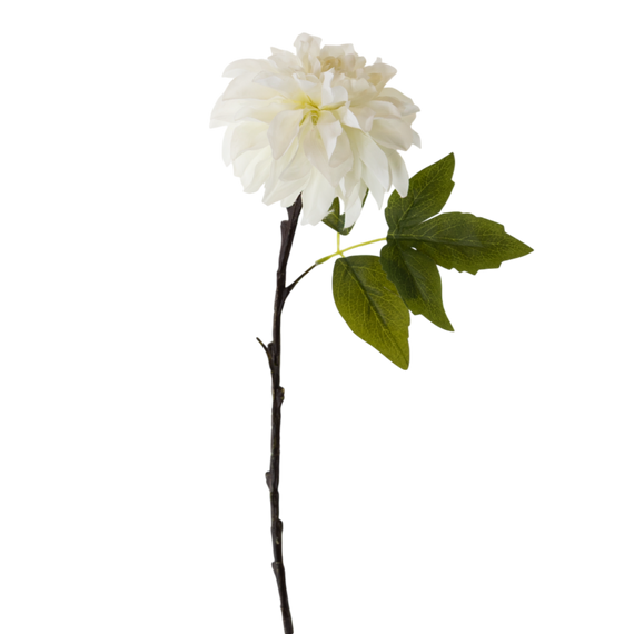 FS132 Peony 25" PK 12