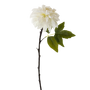 FS132 Peony 25" PK 12