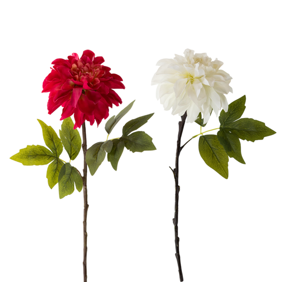 FS132 Peony 25" PK 12