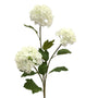 Hydrangea Viburnum