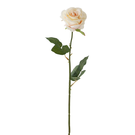 FS135 WH Rose 26" PK 12