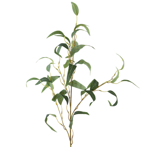 FS136 GR Eucalyptus 35" PK 24