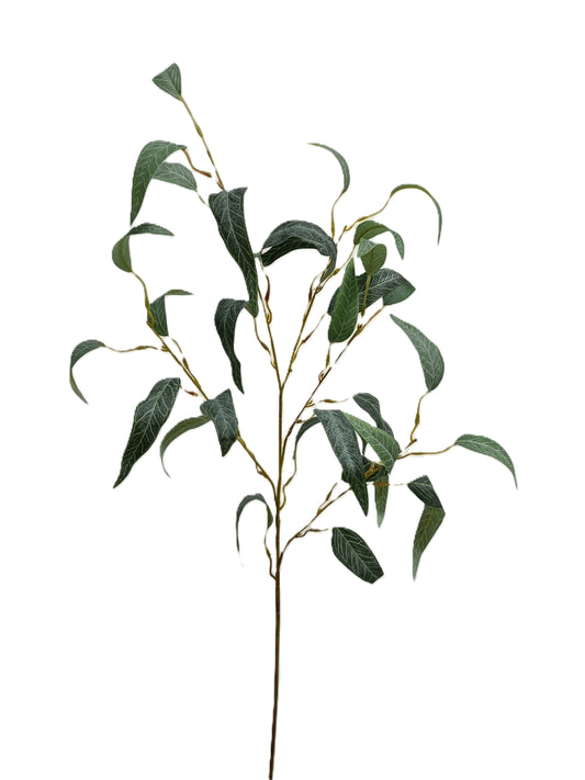 Eucalyptus 24"