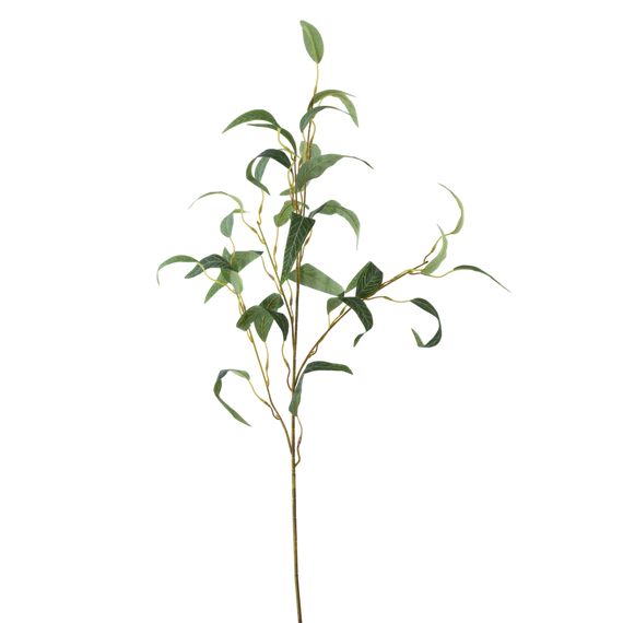 FS136 GR Eucalyptus 35" PK 24