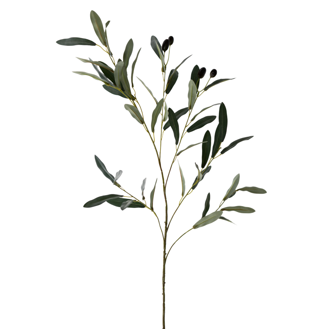 FS138 GR Olive 37" PK 12