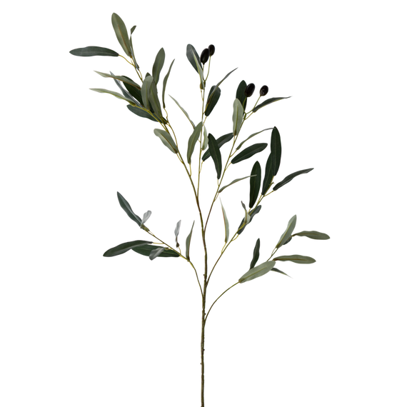 FS138 GR Olive 37" PK 12