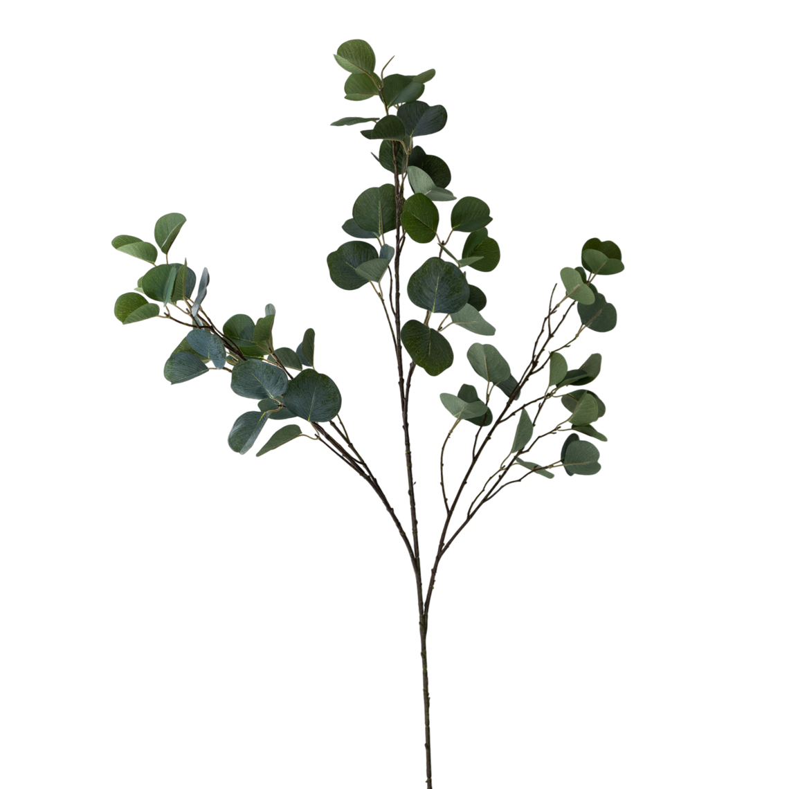 FS140 GR Eucalyptus 47" PK 12