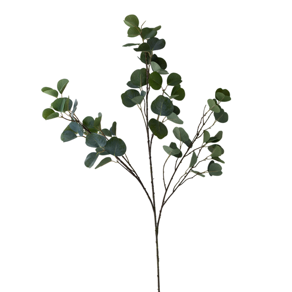 FS140 GR Eucalyptus 47" PK 12