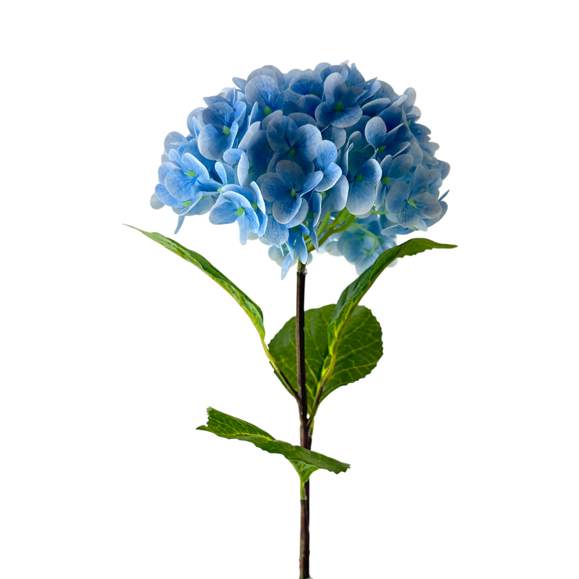 FS142 Hydrangea 32" PK 12
