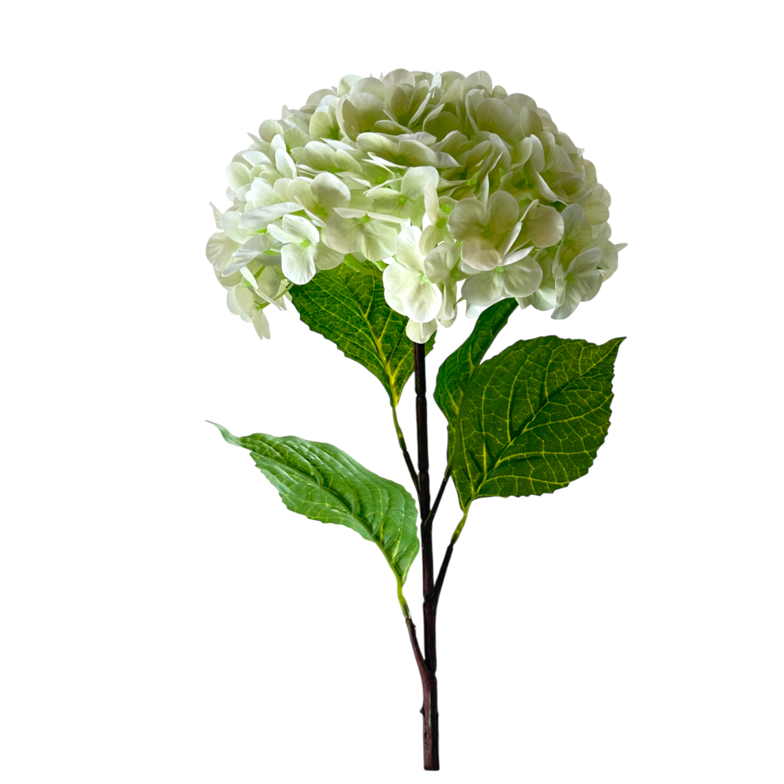 FS142 Hydrangea 32" PK 12