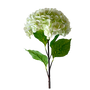 FS142 Hydrangea 32" PK 12