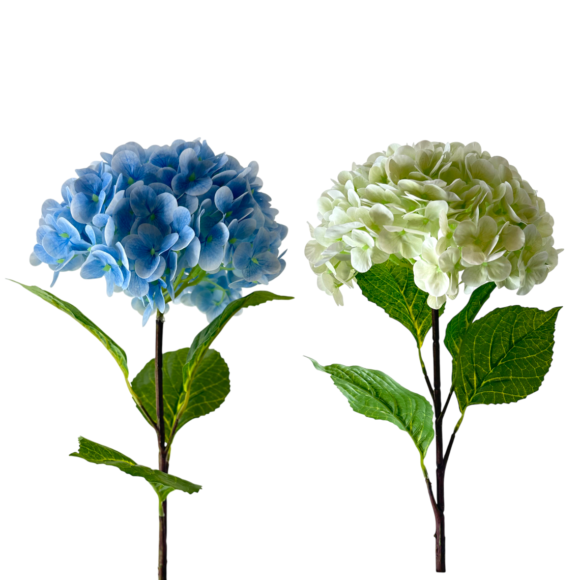 FS142 Hydrangea 32" PK 12