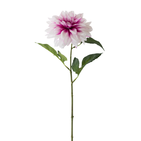 FS143 WH PU Dahlia 24" PK 12
