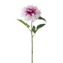 FS143 WH PU Dahlia 24" PK 12