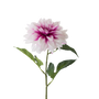 FS143 WH PU Dahlia 24" PK 12