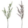 FS146 Rosmarinus 30" PK 12