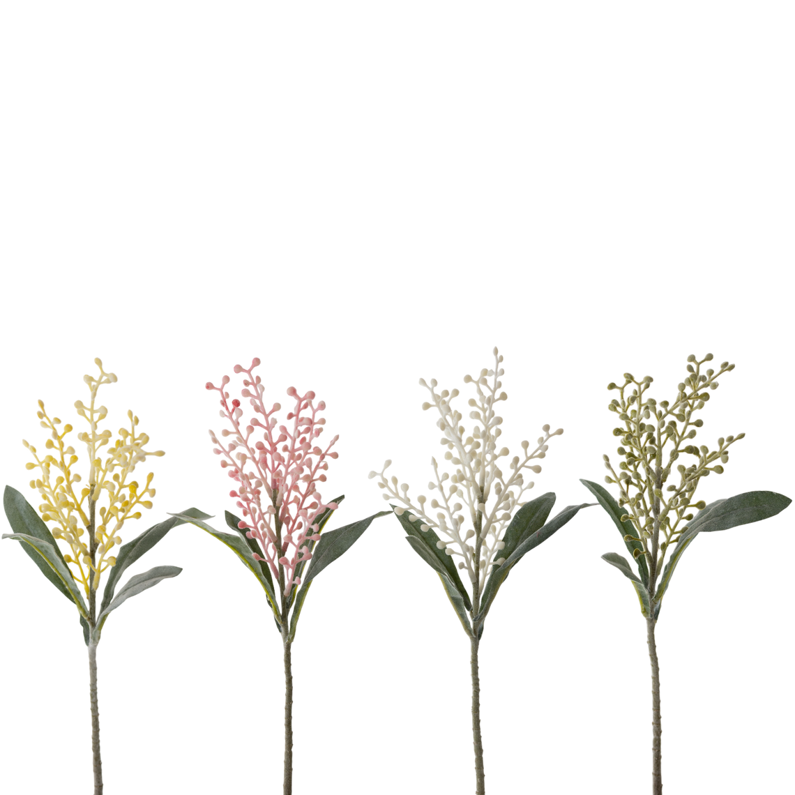 FS147 Cori Aria 15" PK 24