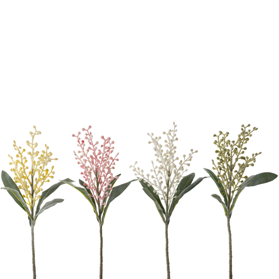 FS147 Cori Aria 15" PK 24