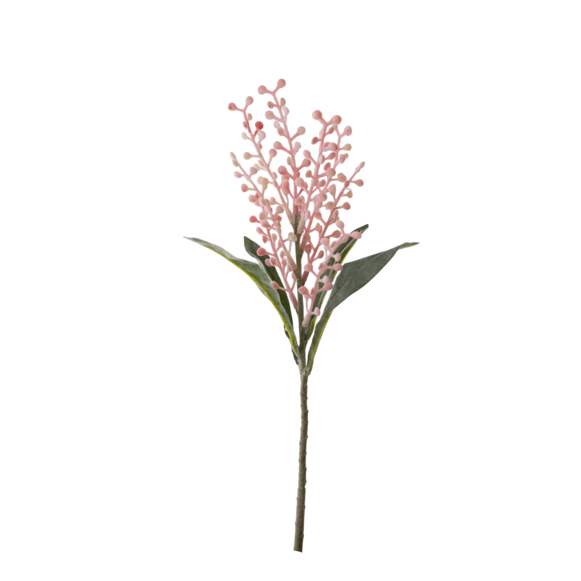 FS147 Cori Aria 15" PK 24