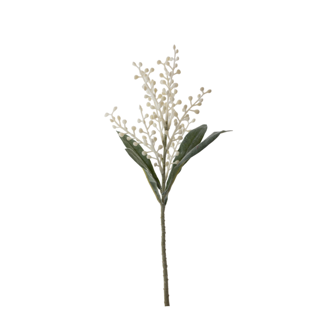 FS147 Cori Aria 15" PK 24