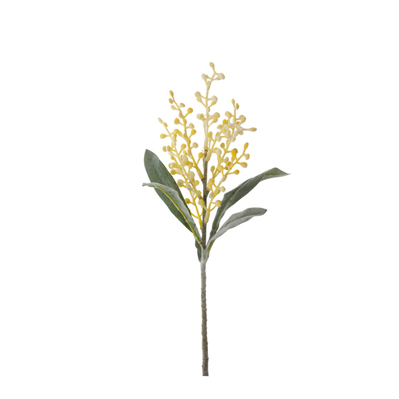 FS147 Cori Aria 15" PK 24