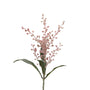 Coriaria