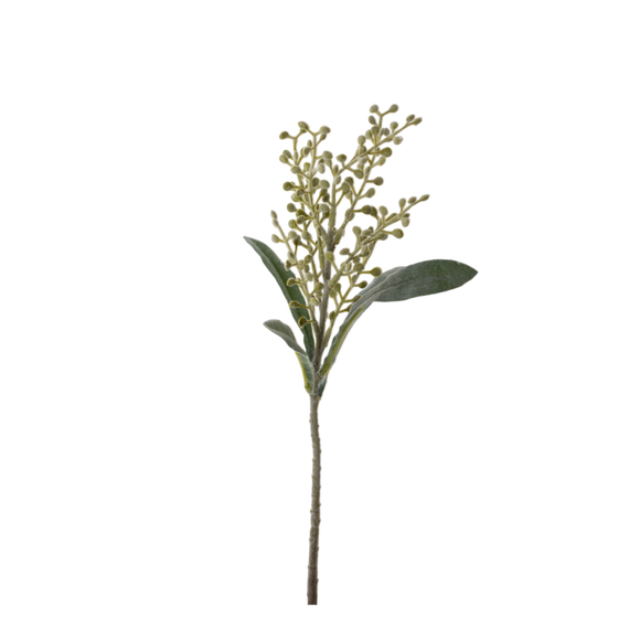 FS147 Cori Aria 15" PK 24