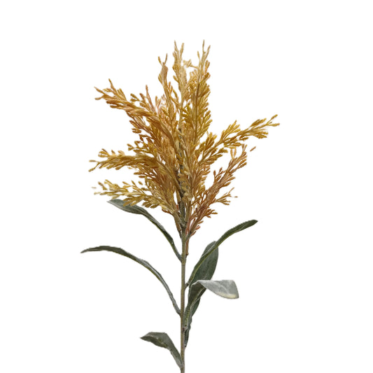 Pampasgrass 24" - Yellow