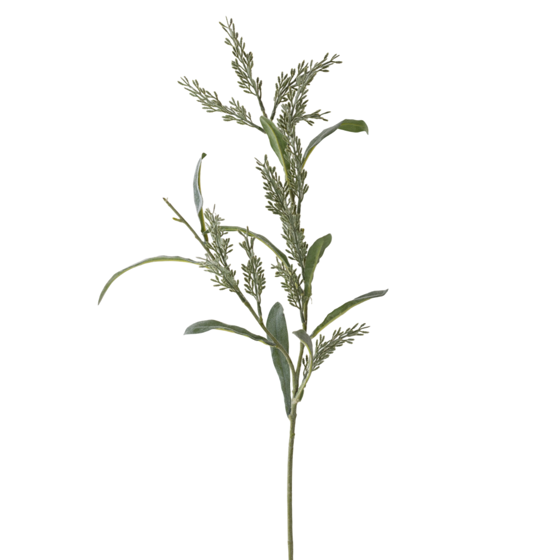 FS149 GR Pampas Grass 27.5" - Green PK 24