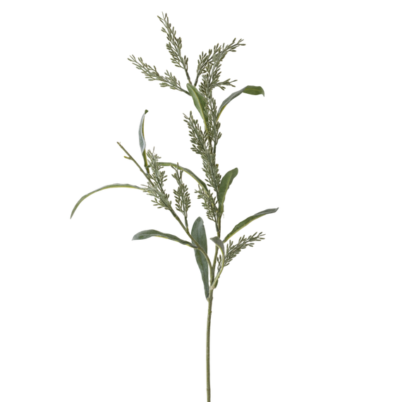 FS149 GR Pampas Grass 27.5" - Green PK 24