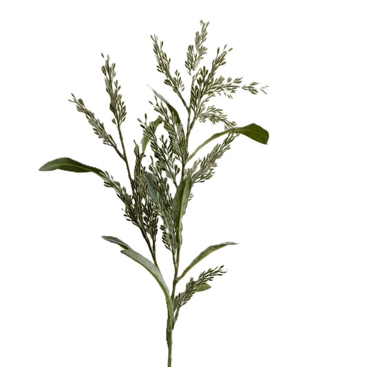 Pampasgrass 24" - Green